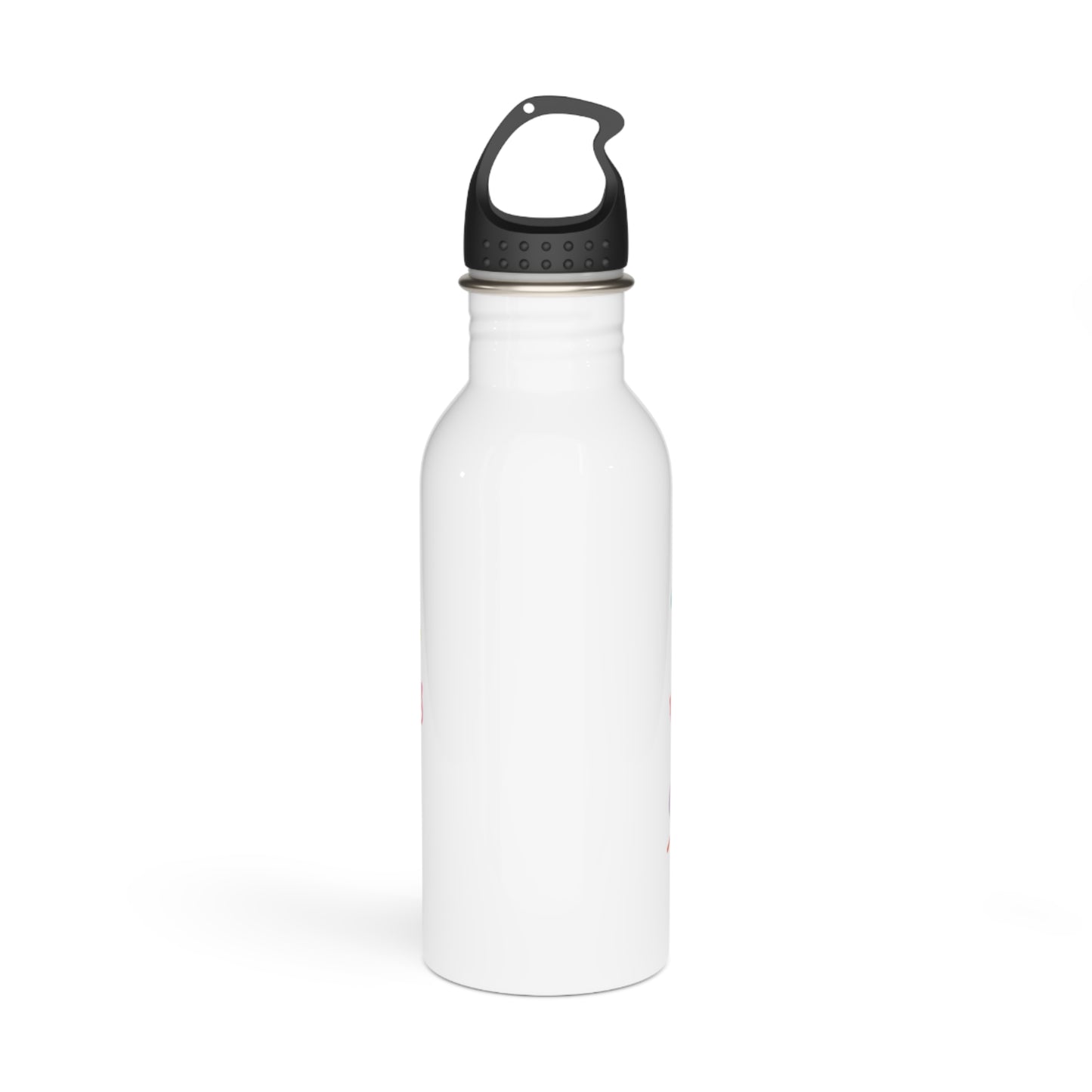 Kawaii "Instax Friends" Stainless Steel Water Bottle