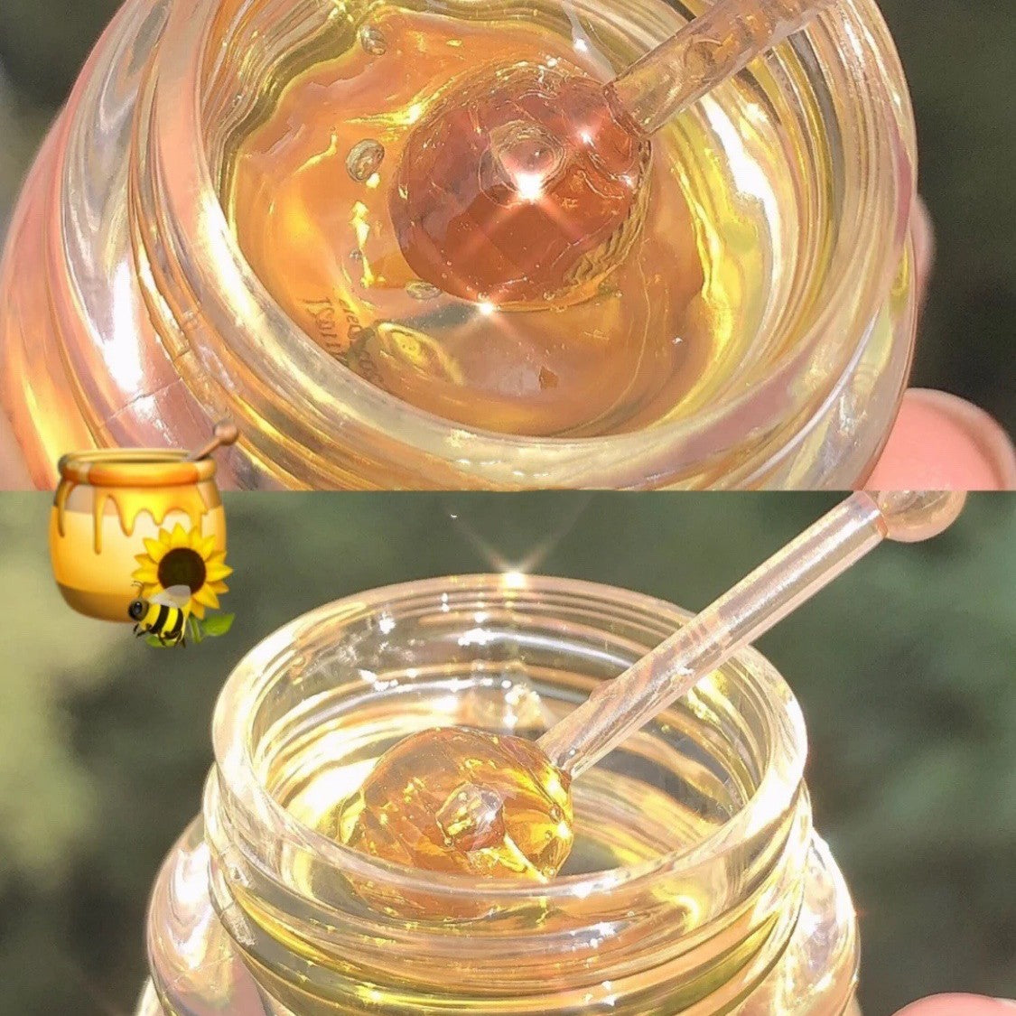 Honey Nourishing Treatment Lip Care